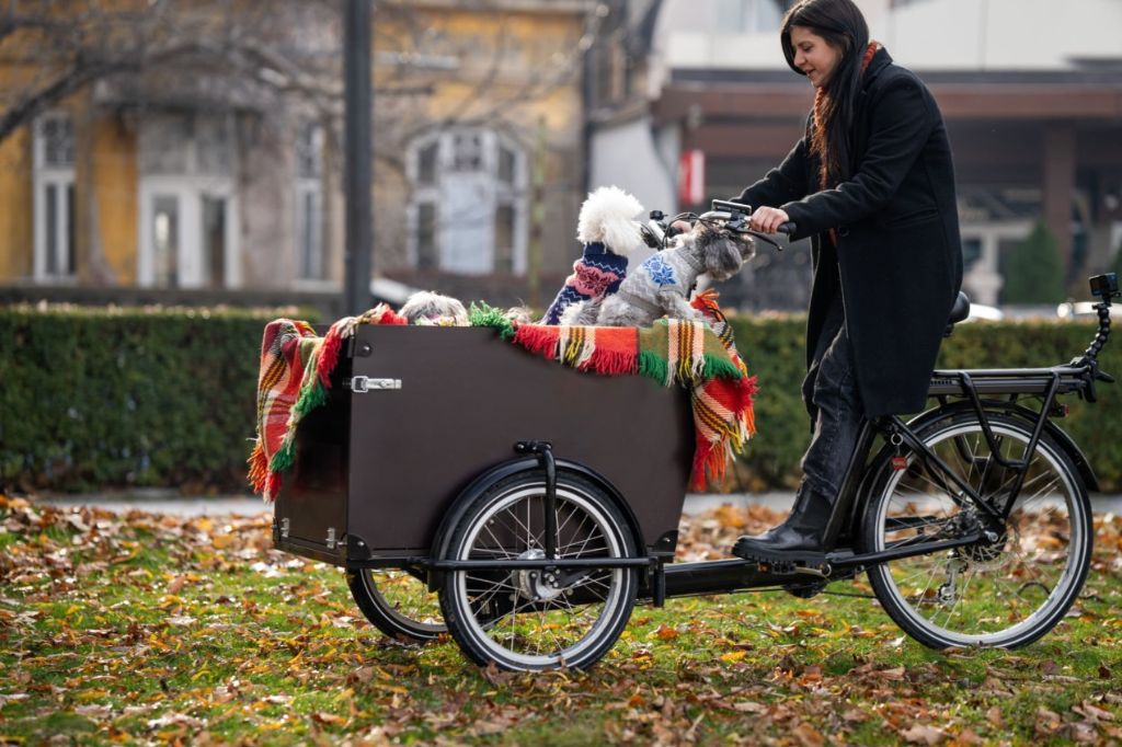 Dog Cart for Bike Adventures: A Fun and Practical Solution
