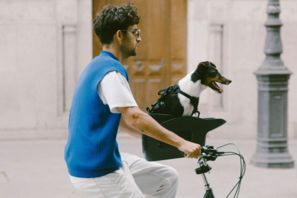 The Do's and Don'ts of Riding with a Dog in a Bike Carrier