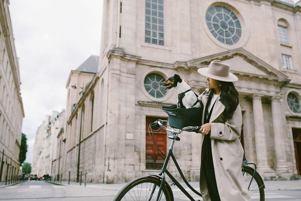 How to Choose the Best Dog Carrier for Your Bicycle