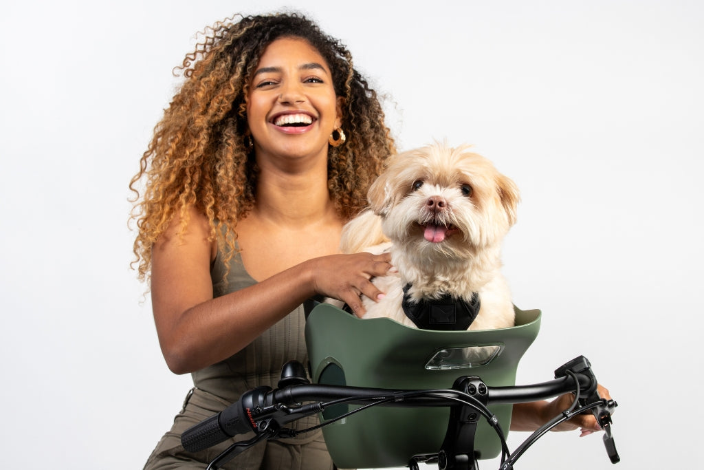 How Different Dog Breeds React to Riding in a Bike Carrier