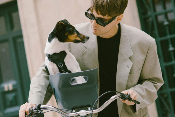 Exploring the Best Dog Bike Baskets for Small Dogs