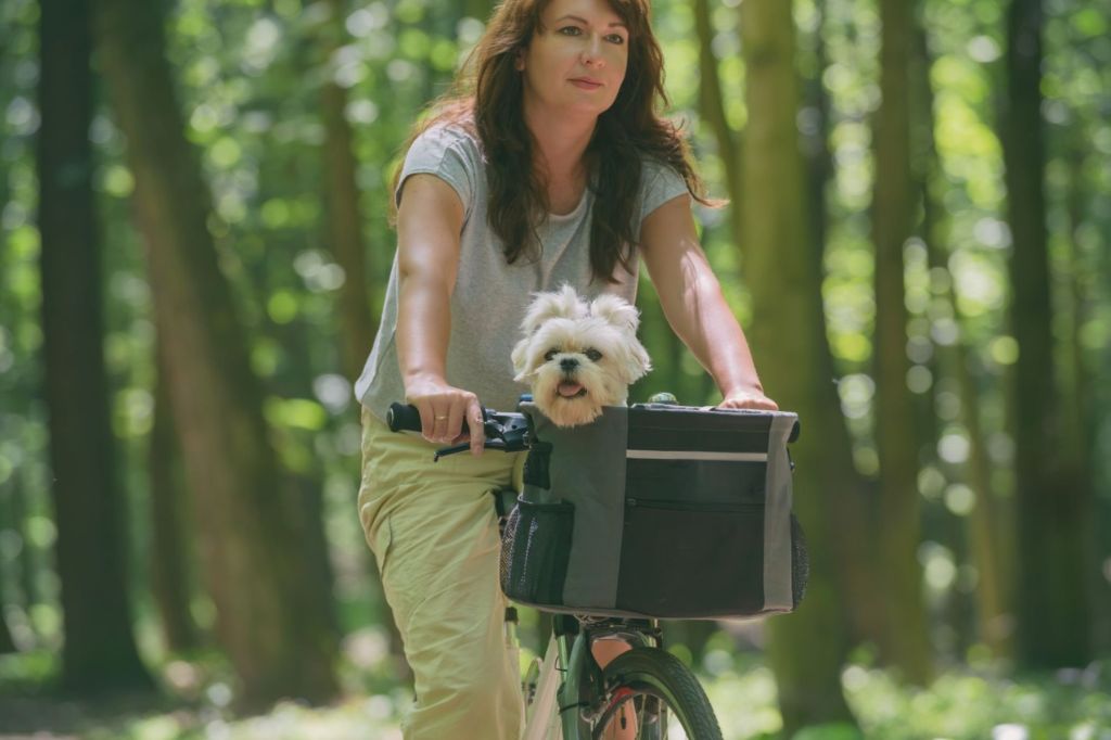How to Handle Long-Distance Bike Trips with Your Dog