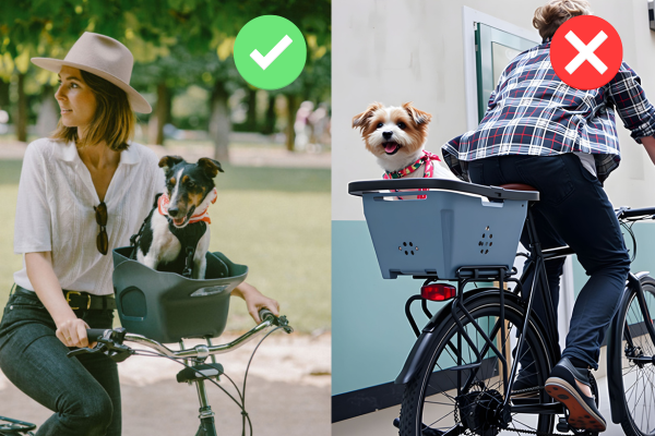 Front vs. Rear Dog Bike Baskets: Which One is Better?