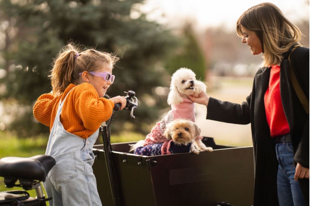 The Pros and Cons of Using a Dog Cart for Your Bike