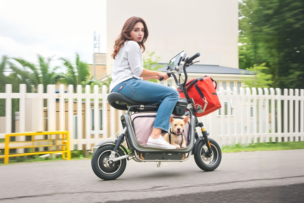 The Benefits of Using a Dog Carrier for Electric Bikes