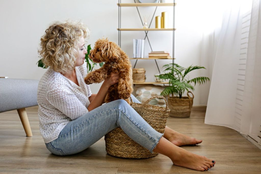 Dog Bike Carriers for Apartment Dwellers: Space-Saving Options