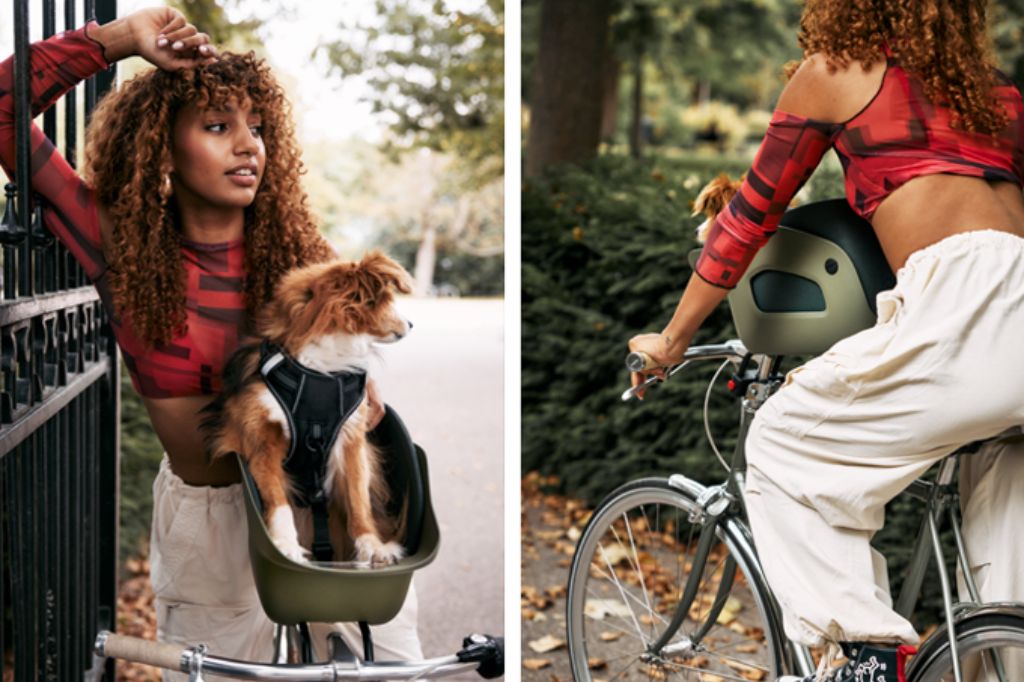 How to Secure a Dog Basket for the Front of a Bike