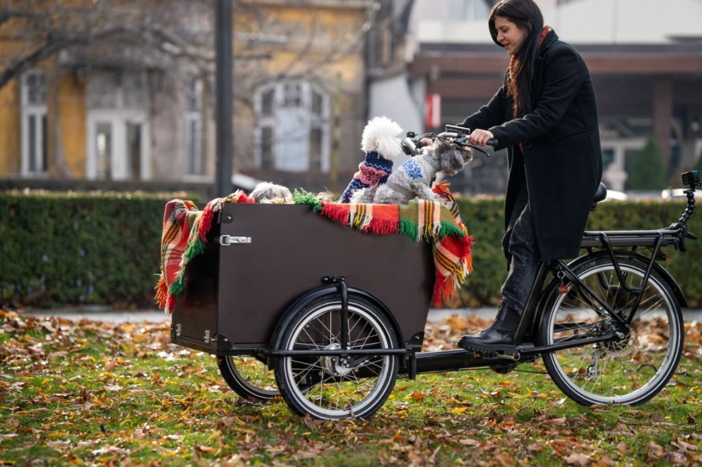 Hondenkar voor fietsavonturen: een leuke en praktische oplossing