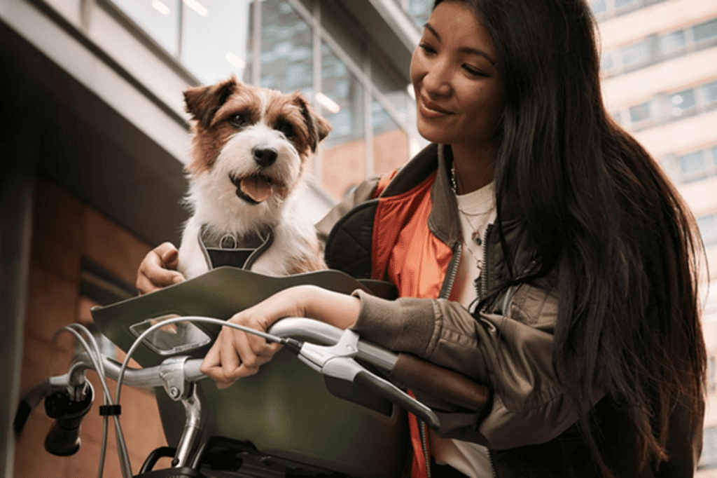 Ontdek de beste fietsen met hondendragers voor actieve hondenbezitters