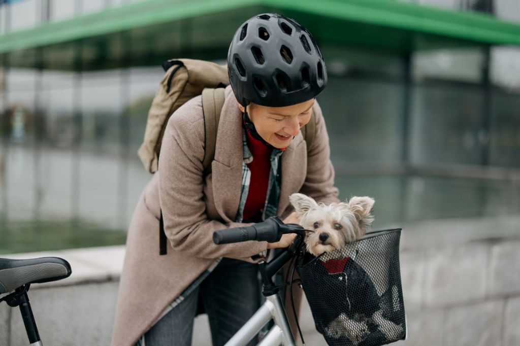 Waarom een fietsmand voor huisdieren de beste reisoplossing is voor kleine honden