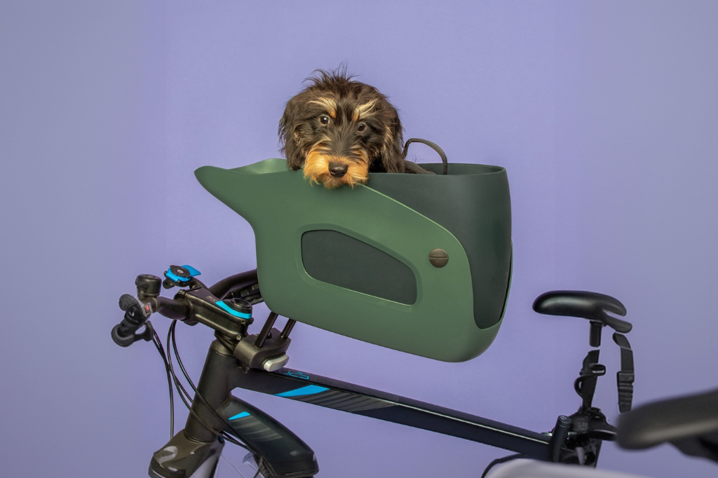 Hoe Je Je Hond Leert Houden Van Zijn Nieuwe Fietsmand