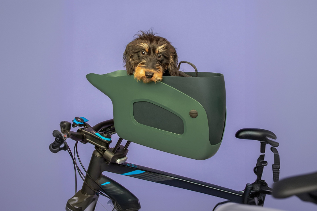 How to Train Your Dog to Love Their New Bike Carrier