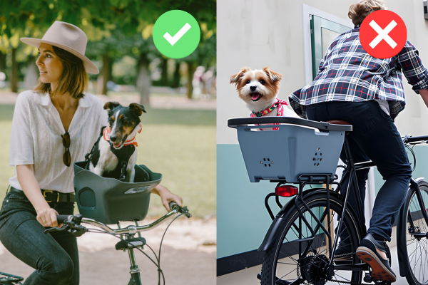 Voor- vs. Achter-Fietsmanden voor Honden: Welke is Beter?