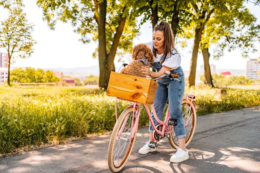 Tips voor fietsveiligheid: hoe fiets je met een hond in een fietsmand?