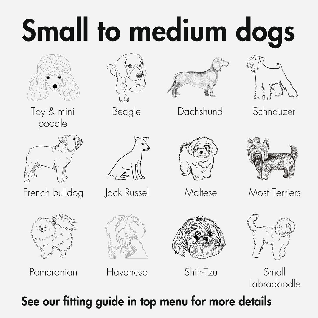 Size guide for what types of dogs fit into a Kvisp Bike Carrier for Dogs #color_forest-green