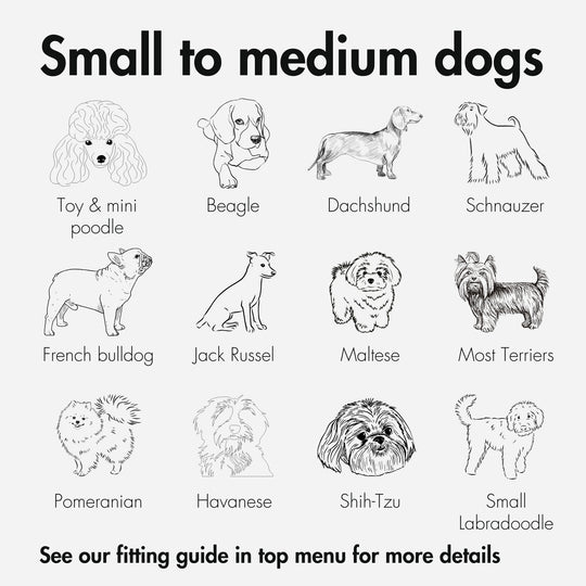 Size guide for what types of dogs fit into a Kvisp Bike Carrier for Dogs #color_forest-green
