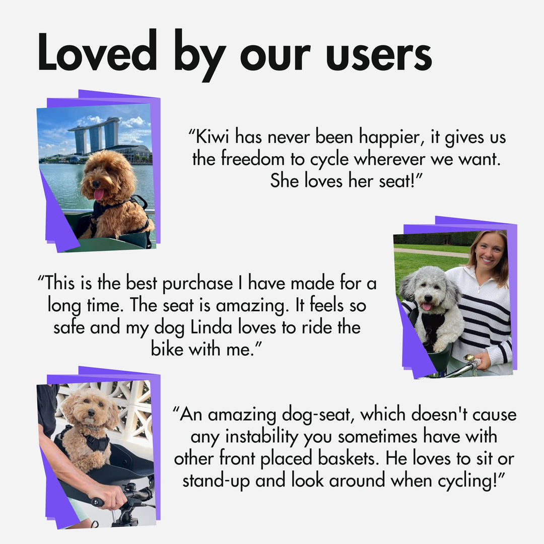 A selection of Kvisp reviews by our users #color_forest-green