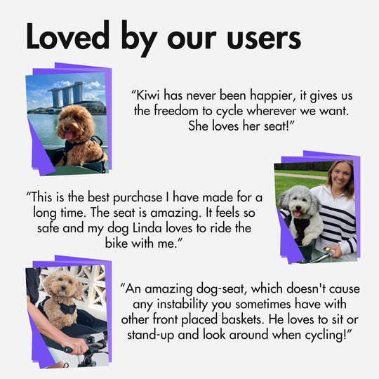 A selection of Kvisp reviews by our users #color_forest-green