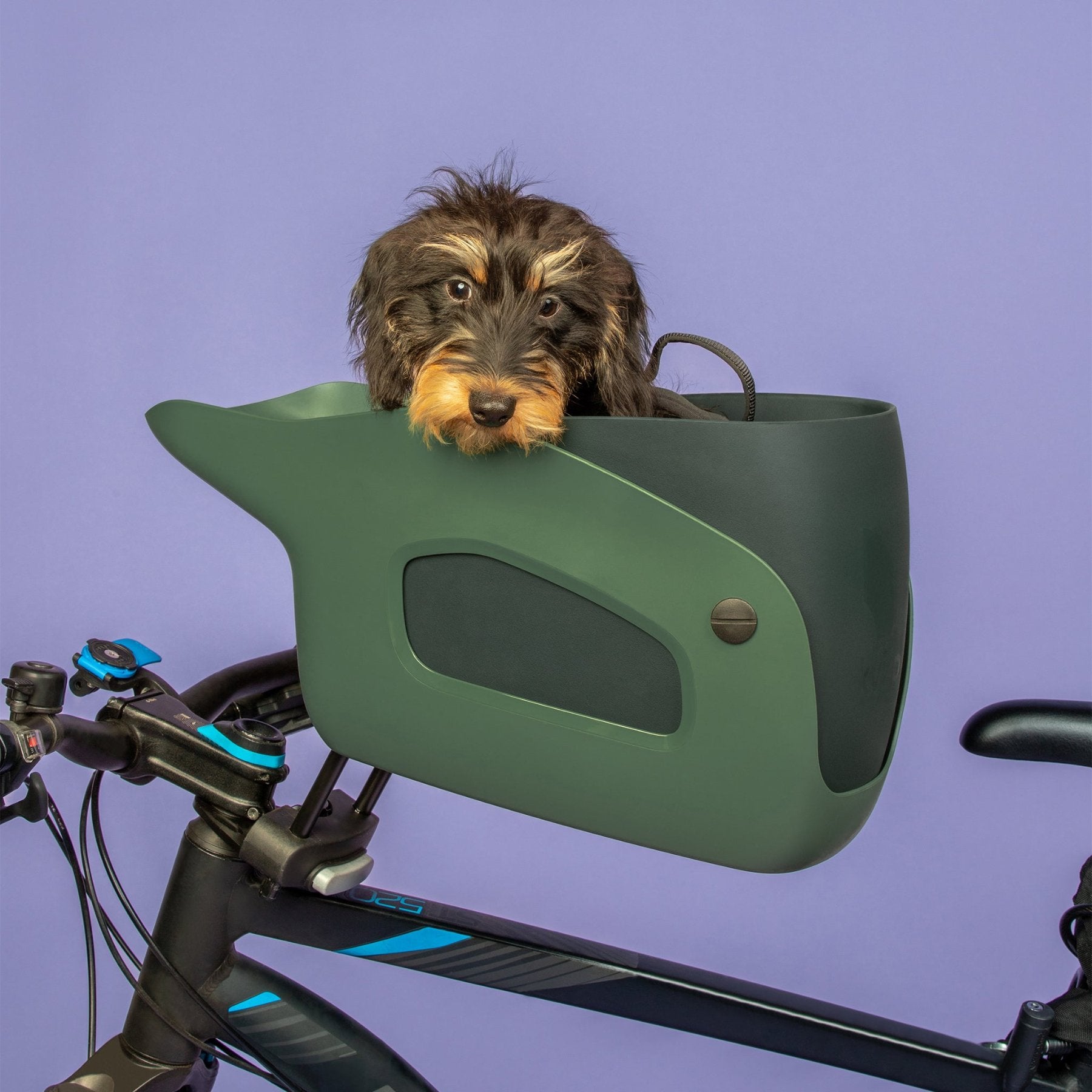 Dog carrier bike attachment online