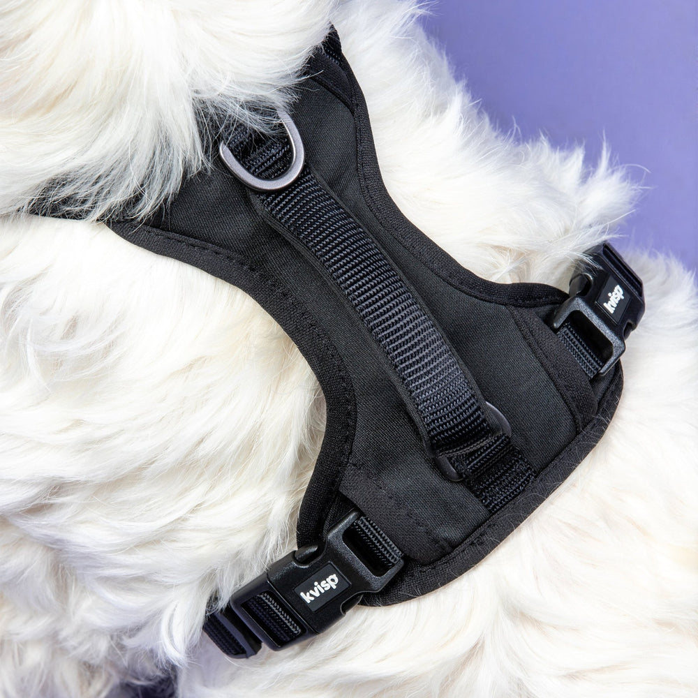 Kvisp Bike and Walk Safety Harness for Dogs Detailed View From Top