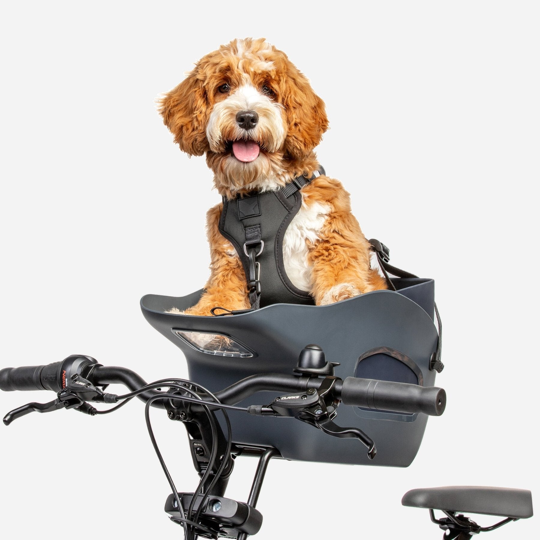 The Do's and Don'ts of Riding with a Dog in a Bike Carrier