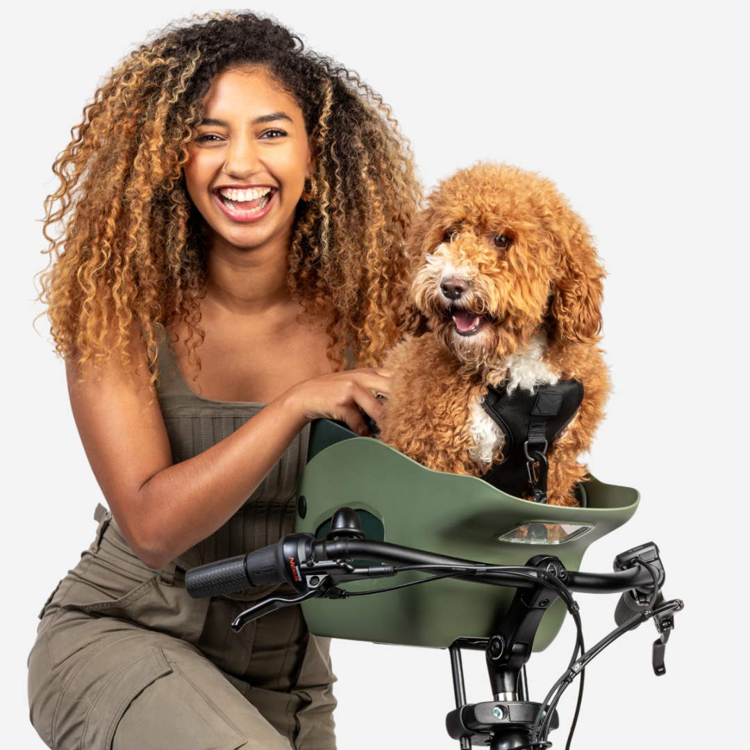 Main photo of the Kvisp Bike Carrier for Dogs showing a happy dog ready to go for a bike ride