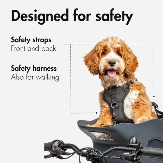 Main product photo showing the safety straps and safety harness of the Kvisp Bike Carrier for Dogs in the color Midnight Gray on a white background #color_midnight-gray