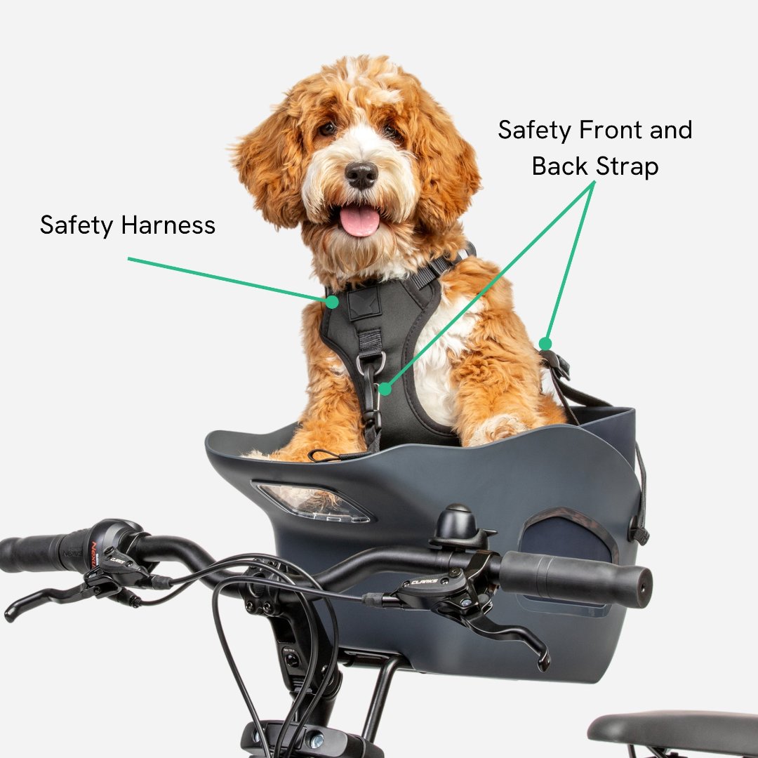 Centric safe haven bike seat online