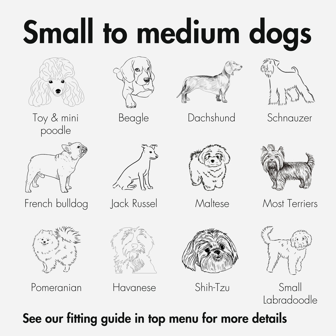 Size guide for what types of dogs fit into a Kvisp Bike Carrier for Dogs #color_midnight-gray