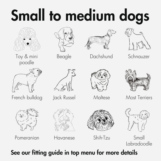Size guide for what types of dogs fit into a Kvisp Bike Carrier for Dogs #color_midnight-gray